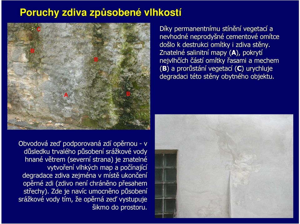 Obvodová zeď podporovaná zdí opěrnou - v důsledku trvalého působení srážkové vody hnané větrem (severní strana) je znatelné vytvoření vlhkých map a počínající