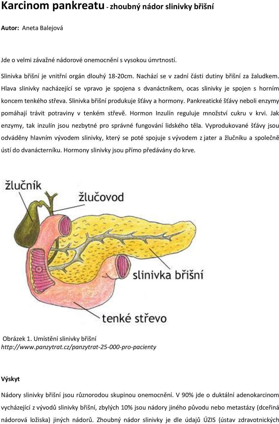 Slinivka břišní produkuje šťávy a hormony. Pankreatické šťávy neboli enzymy pomáhají trávit potraviny v tenkém střevě. Hormon Inzulín reguluje množství cukru v krvi.