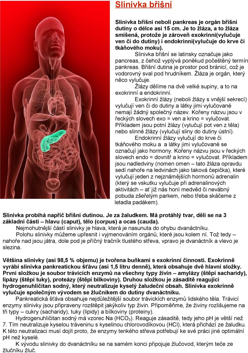 Slinivka břišní se latinsky označuje jako pancreas, z čehož vyplývá poněkud počeštěný termín pankreas. Břišní dutina je prostor pod bránicí, což je vodorovný sval pod hrudníkem.