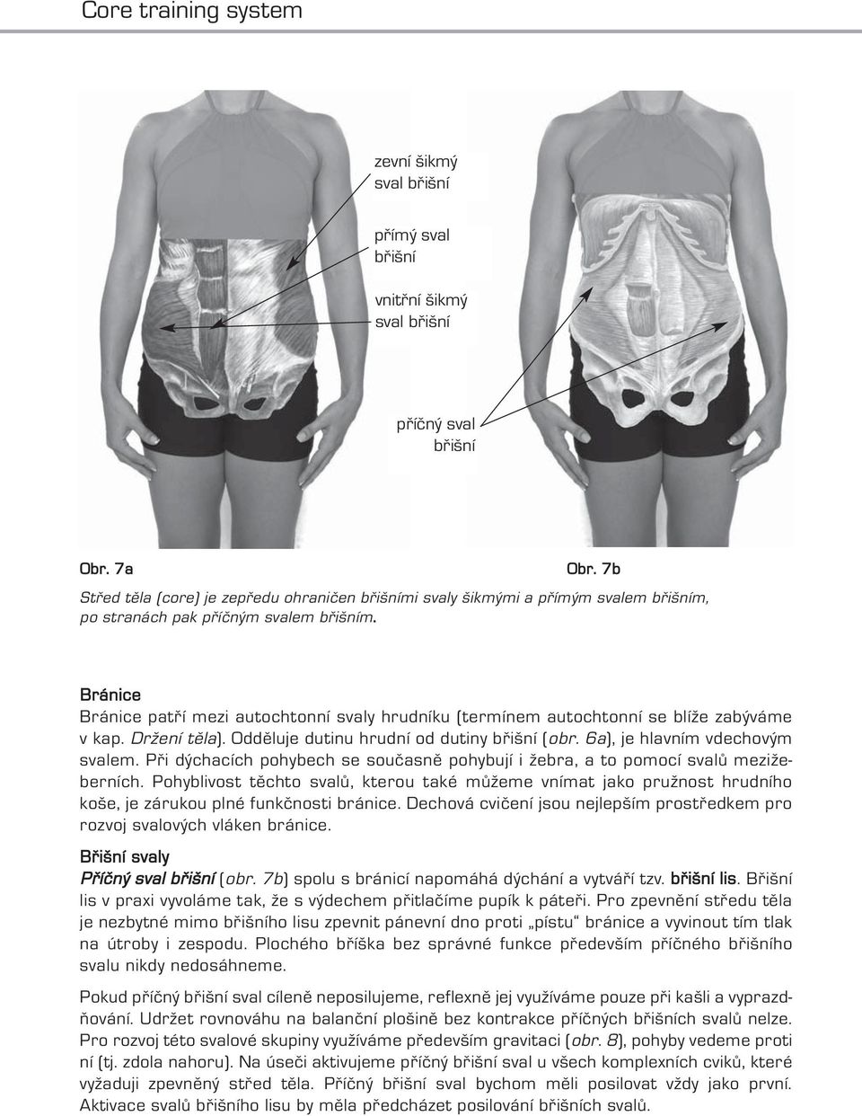 Bránice Bránice patří mezi autochtonní svaly hrudníku (termínem autochtonní se blíže zabýváme v kap. Držení těla). Odděluje dutinu hrudní od dutiny břišní (obr. 6a), je hlavním vdechovým svalem.