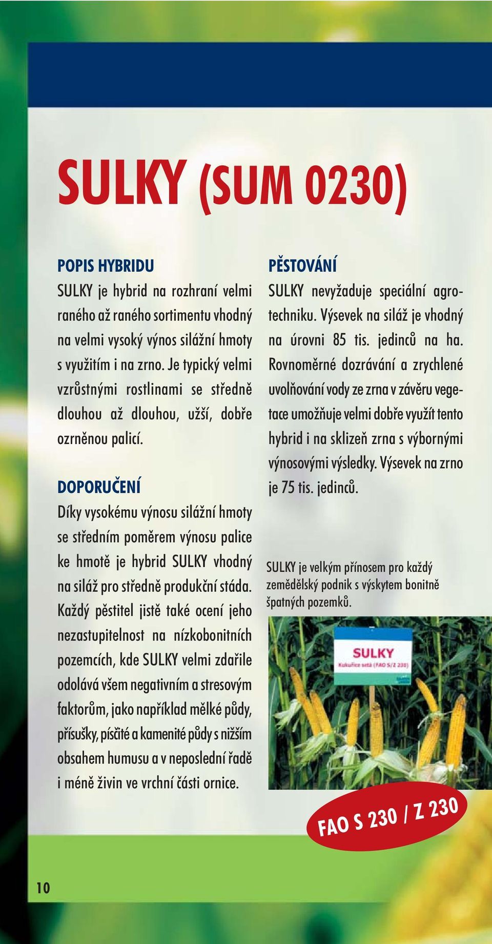 DOPORUČENÍ Díky vysokému výnosu silážní hmoty se středním poměrem výnosu palice ke hmotě je hybrid SULKY vhodný na siláž pro středně produkční stáda.