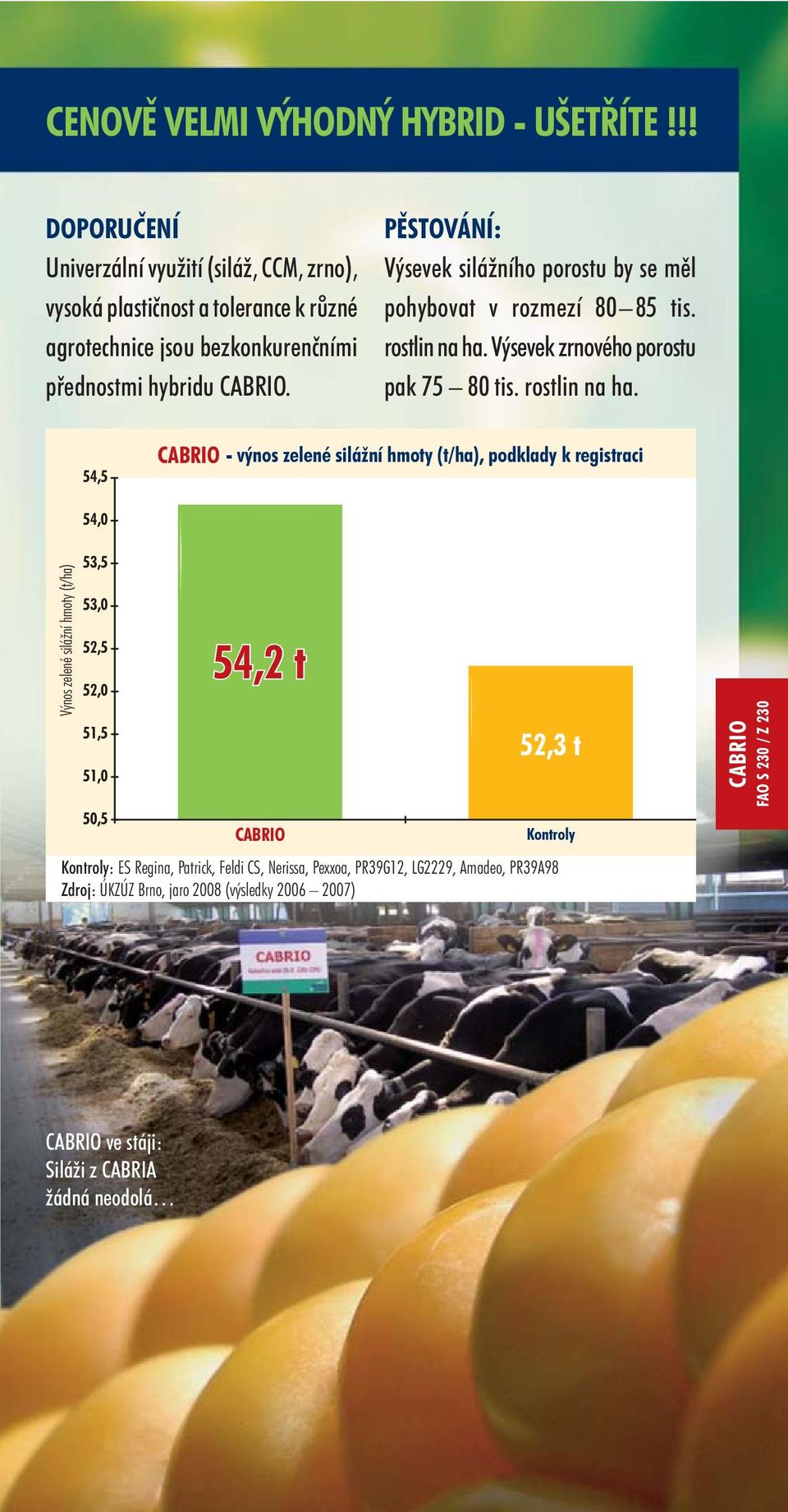 PĚSTOVÁNÍ: Výsevek silážního porostu by se měl pohybovat v rozmezí 80 85 tis. rostlin na ha.