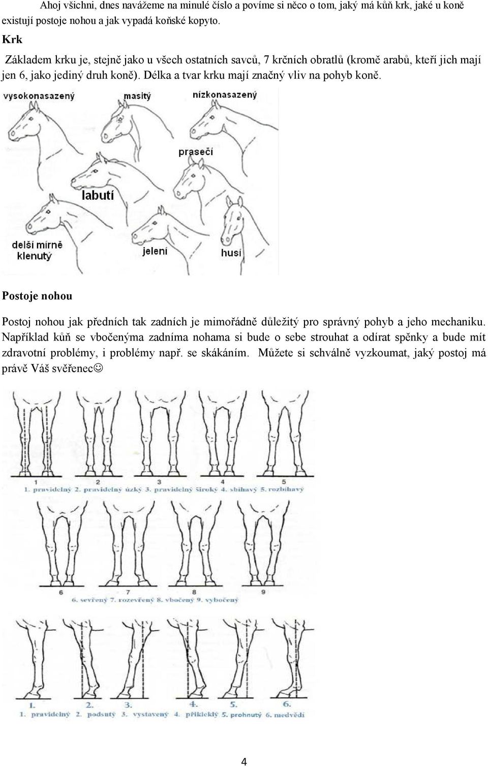 Délka a tvar krku mají značný vliv na pohyb koně. Postoje nohou Postoj nohou jak předních tak zadních je mimořádně důležitý pro správný pohyb a jeho mechaniku.