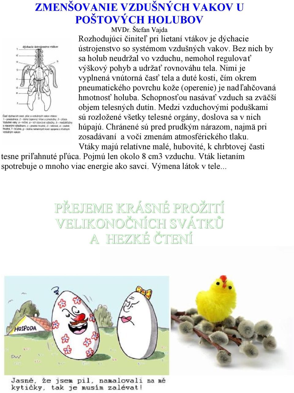 Nimi je vyplnená vnútorná časť tela a duté kosti, čím okrem pneumatického povrchu kože (operenie) je nadľahčovaná hmotnosť holuba. Schopnosťou nasávať vzduch sa zväčší objem telesných dutín.