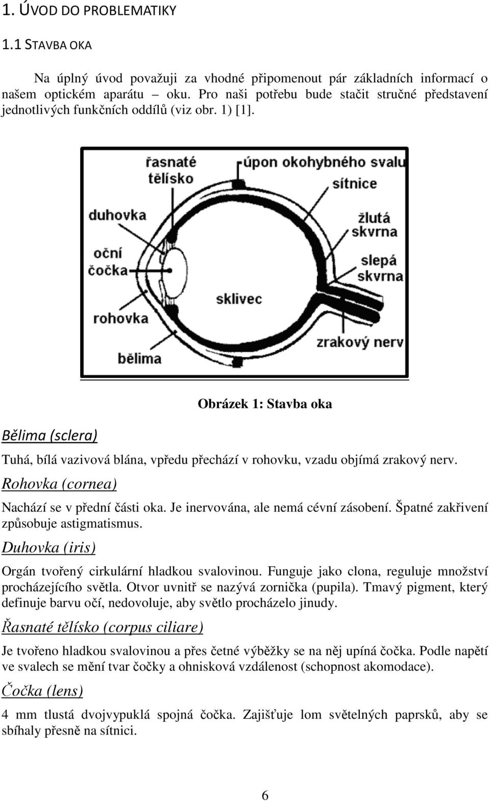 Bělima (sclera) Obrázek 1: Stavba oka Tuhá, bílá vazivová blána, vpředu přechází v rohovku, vzadu objímá zrakový nerv. Rohovka (cornea) Nachází se v přední části oka.