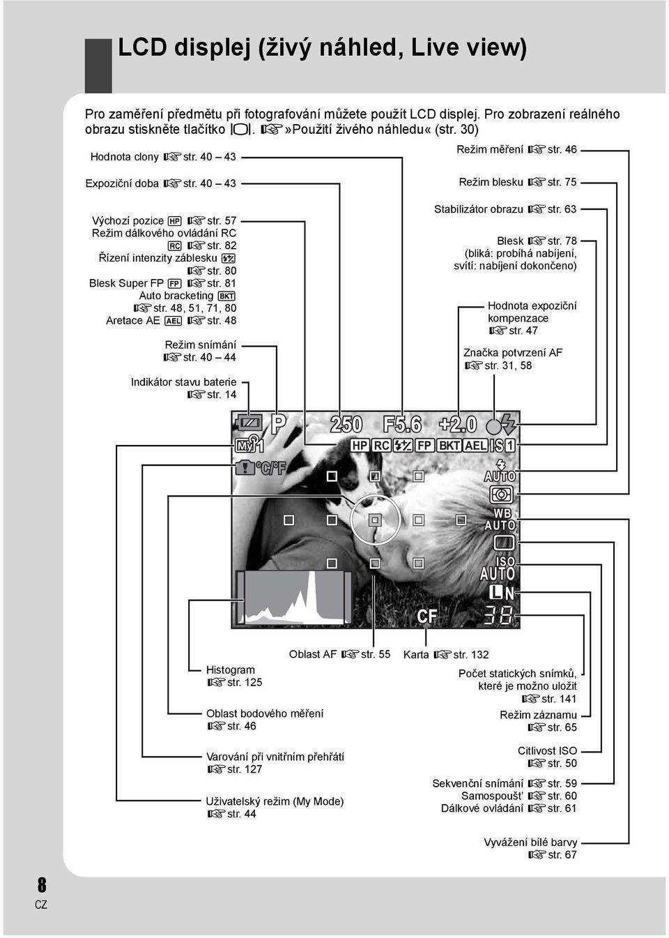 80 Blesk Super FP s gstr. 81 Auto bracketing t gstr. 48, 51, 71, 80 Aretace AE u gstr. 48 Režim snímání gstr. 40 44 Indikátor stavu baterie gstr. 14 250 F5.6 +2.