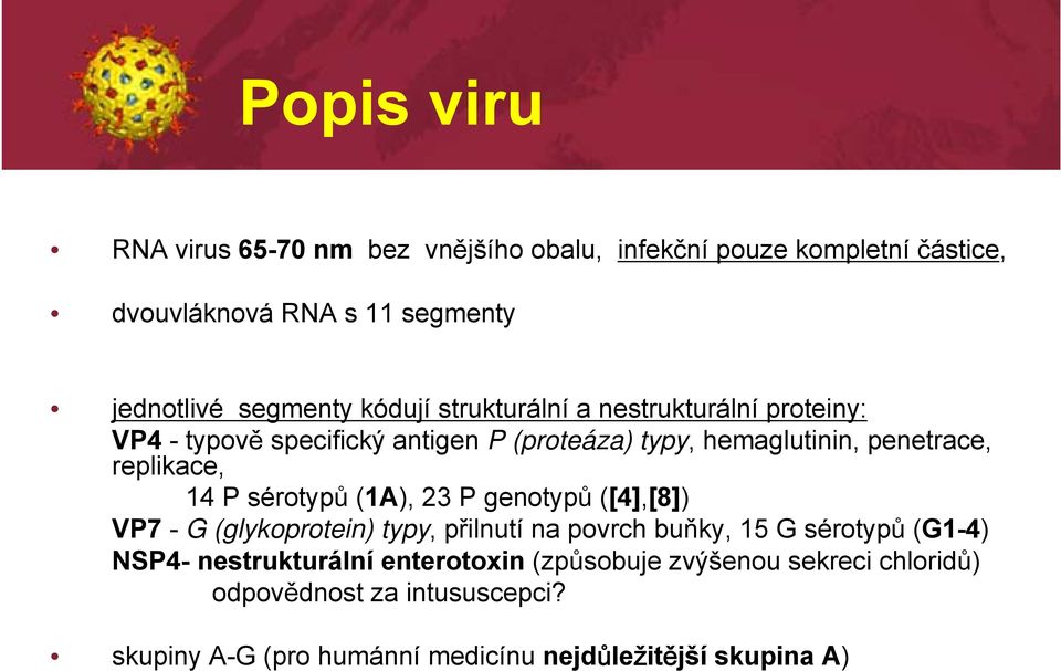 P sérotypů (1A), 23 P genotypů ([4],[8]) VP7 - G (glykoprotein) typy, přilnutí na povrch buňky, 15 G sérotypů (G1-4) NSP4-