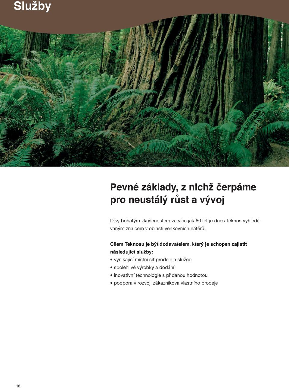 Cílem Teknosu je být dodavatelem, který je schopen zajistit následující služby: vynikající místní síť