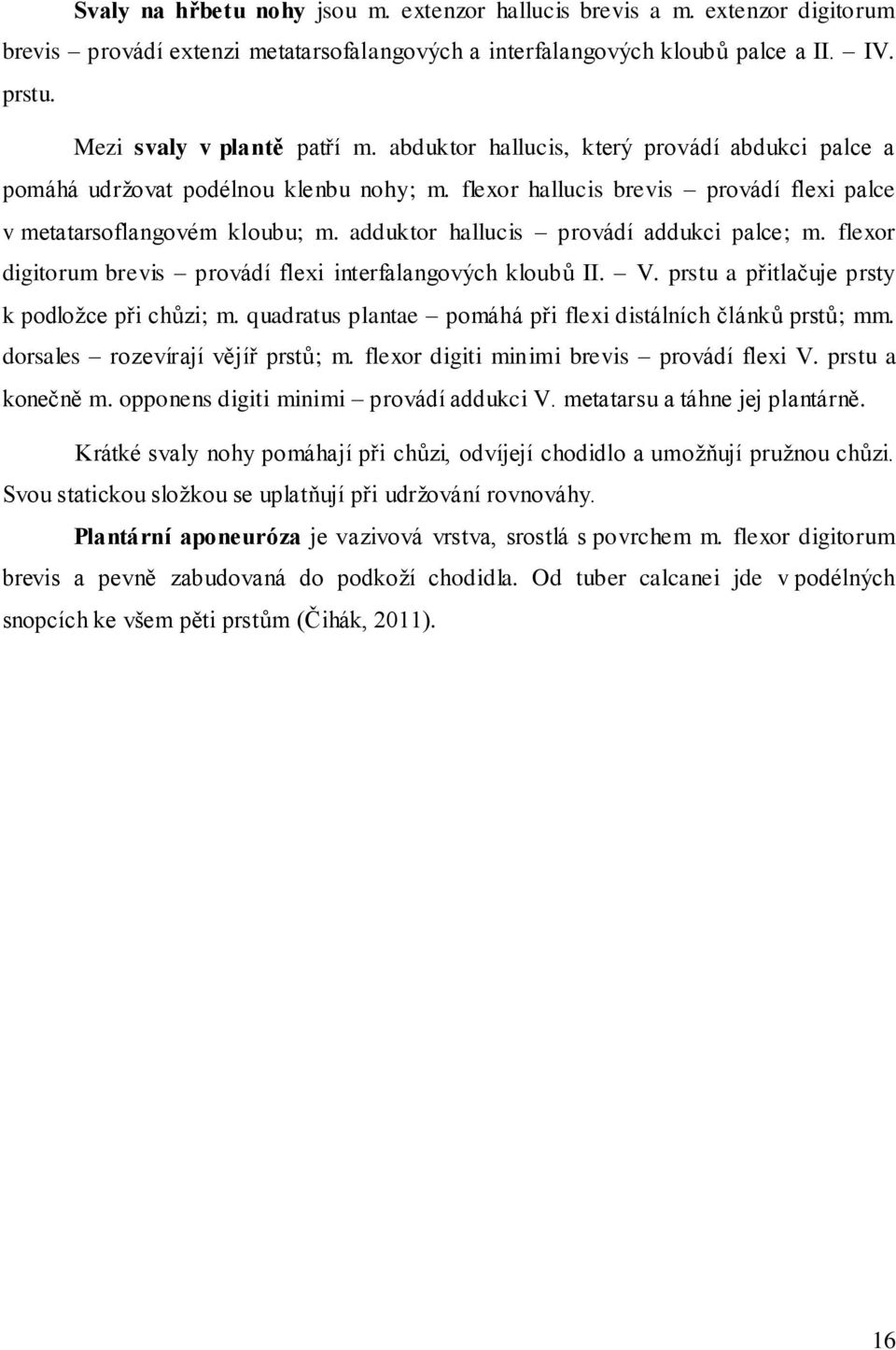 adduktor hallucis provádí addukci palce; m. flexor digitorum brevis provádí flexi interfalangových kloubů II. V. prstu a přitlačuje prsty k podložce při chůzi; m.