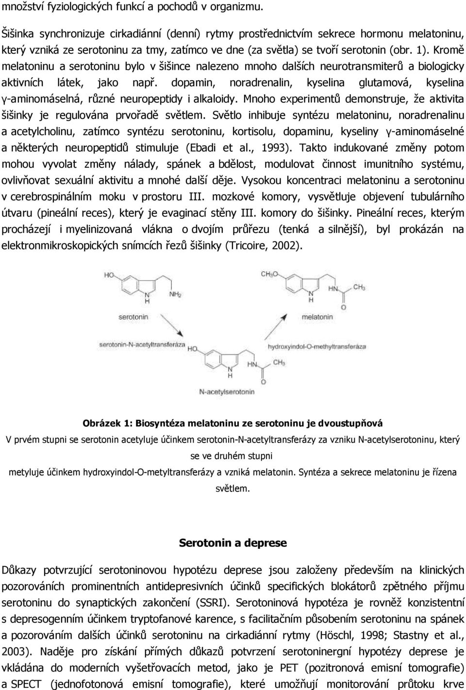 Kromě melatoninu a serotoninu bylo v šišince nalezeno mnoho dalších neurotransmiterů a biologicky aktivních látek, jako např.