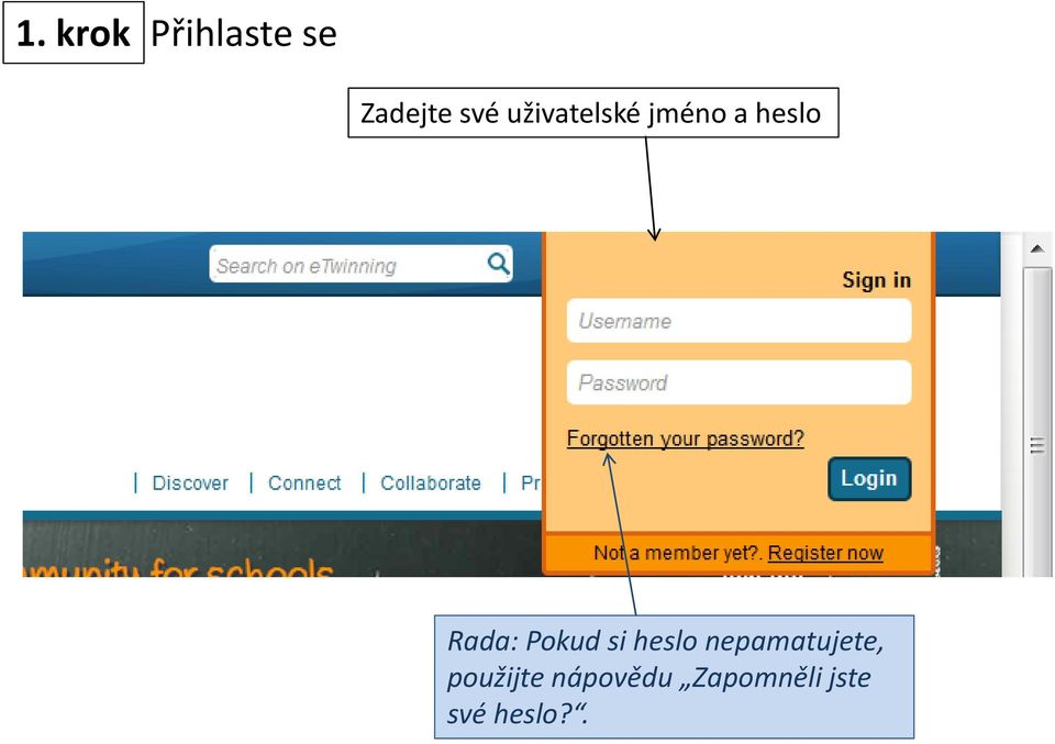 Pokud si heslo nepamatujete,