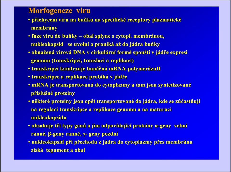 katalyzuje buněčn ěčná mrna-polymer polymerázaii transkripce a replikace probíhá v jádře mrna je transportovaná do cytoplazmy a tam jsou syntetizované příslu slušné proteiny některé proteiny jsou