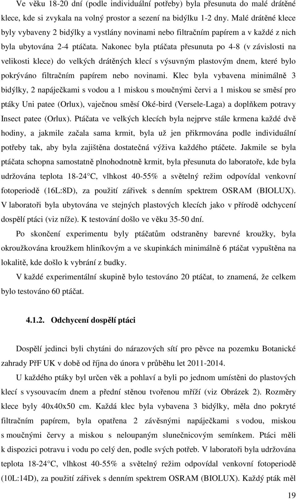 Nakonec byla ptáčata přesunuta po 4-8 (v závislosti na velikosti klece) do velkých drátěných klecí s výsuvným plastovým dnem, které bylo pokrýváno filtračním papírem nebo novinami.