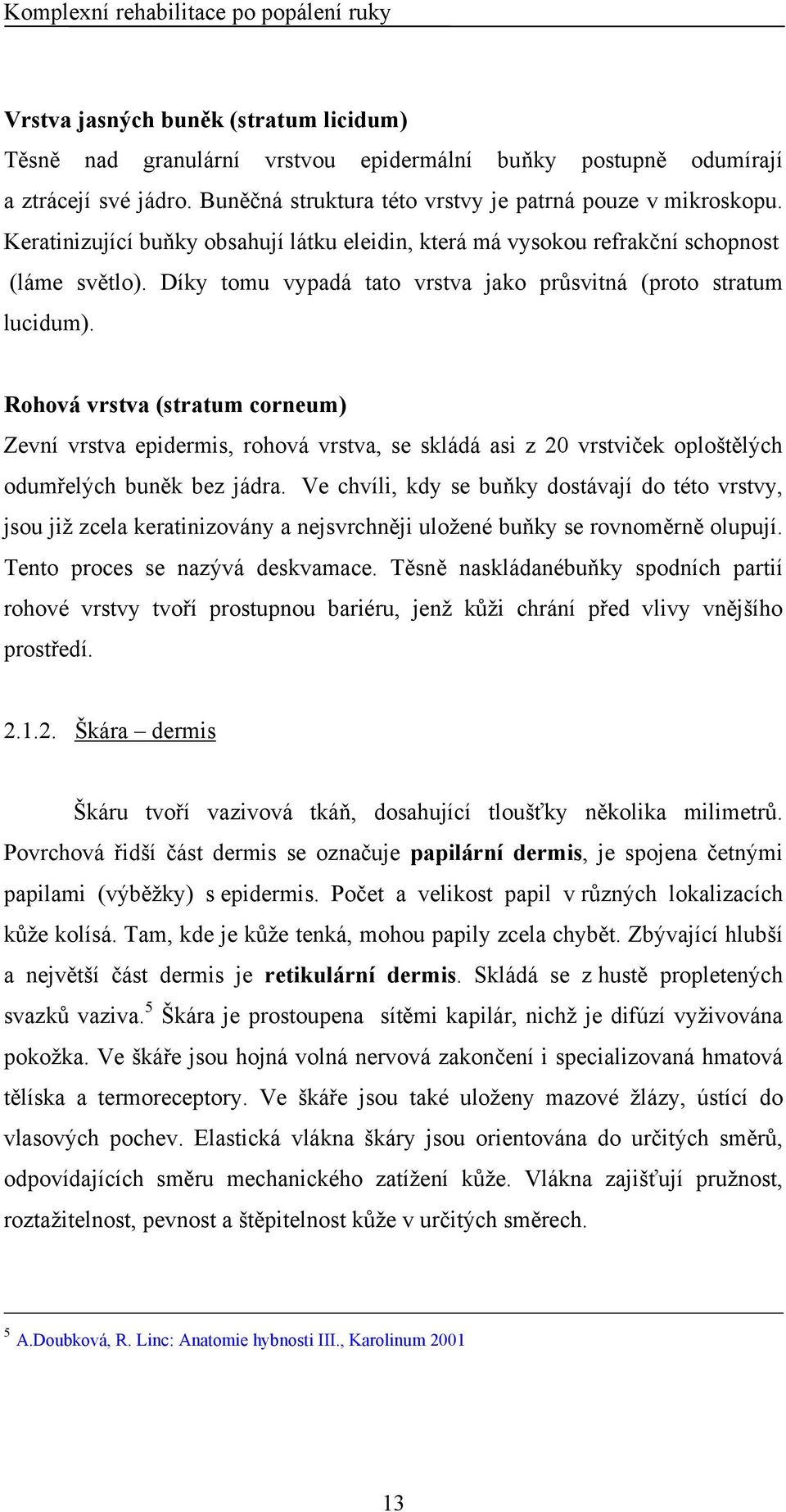 Rohová vrstva (stratum corneum) Zevní vrstva epidermis, rohová vrstva, se skládá asi z 20 vrstviček oploštělých odumřelých buněk bez jádra.