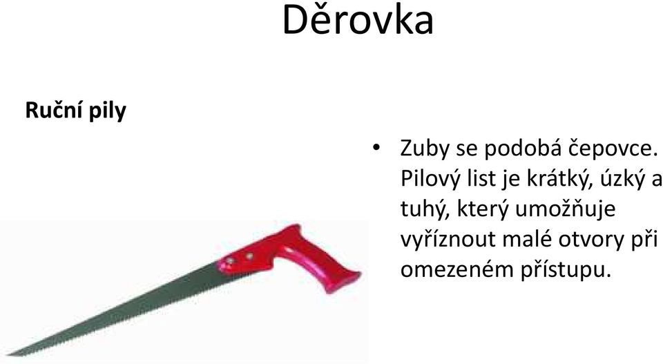 Pilový list je krátký, úzký a