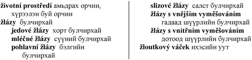 slizové žlázy салст булчирхай žlázy s vnějším vyměšováním гадаад шүүрлийн