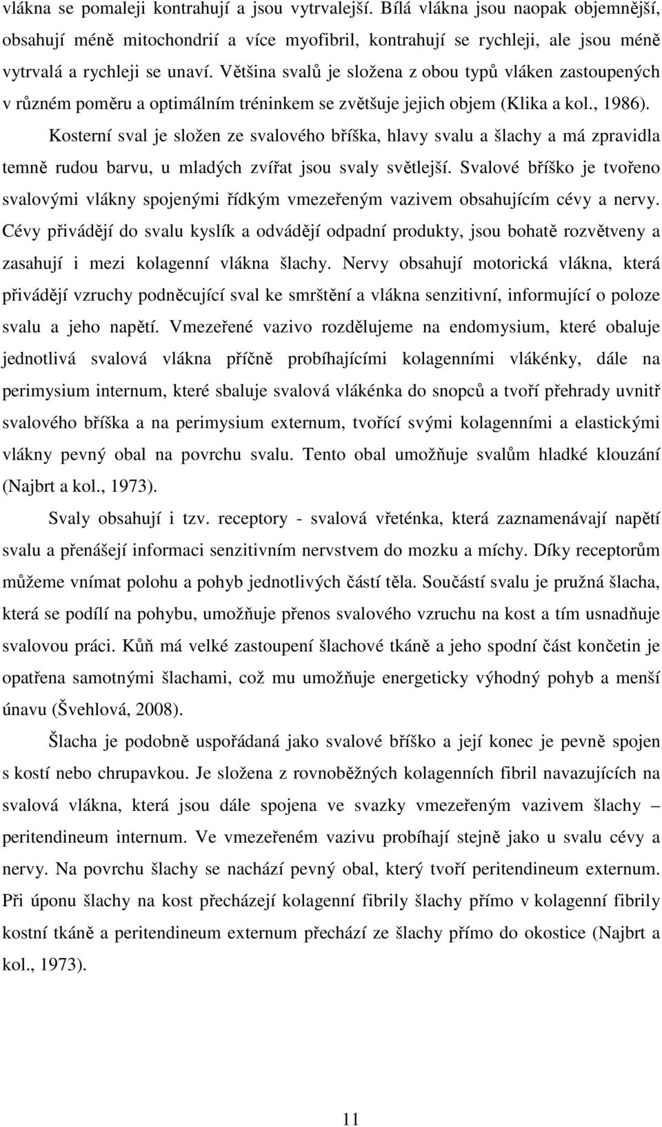 Kosterní sval je složen ze svalového bříška, hlavy svalu a šlachy a má zpravidla temně rudou barvu, u mladých zvířat jsou svaly světlejší.