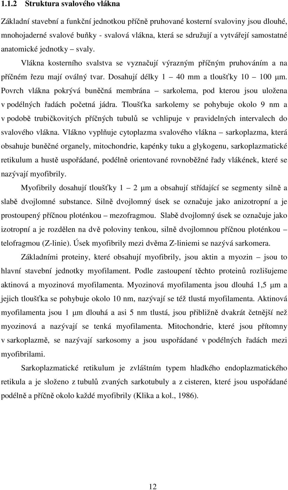 Povrch vlákna pokrývá buněčná membrána sarkolema, pod kterou jsou uložena v podélných řadách početná jádra.