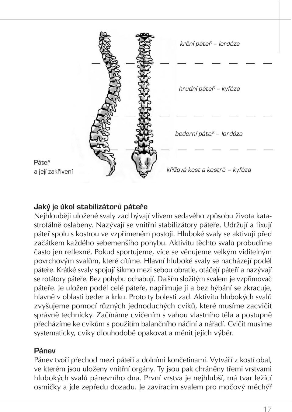 Hluboké svaly se aktivují před začátkem každého sebemenšího pohybu. Aktivitu těchto svalů probudíme často jen reflexně.