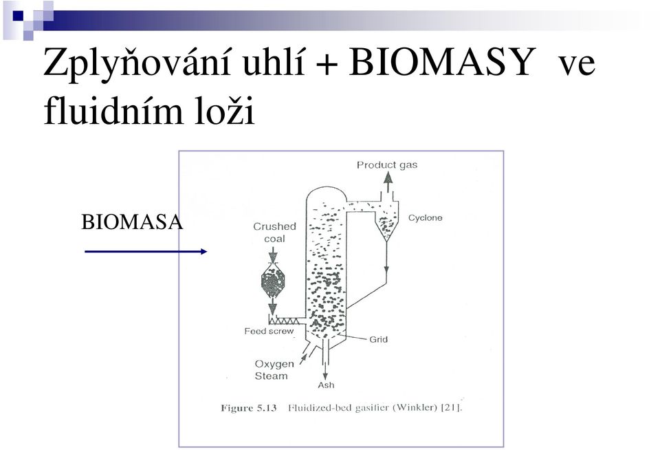 BIOMASY ve