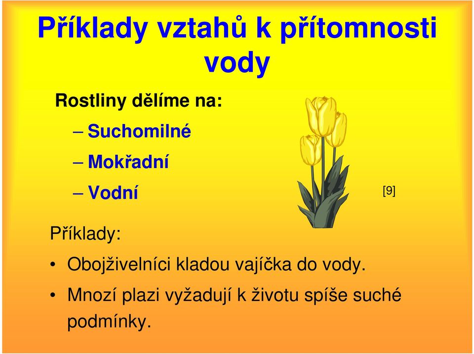 Příklady: Obojživelníci kladou vajíčka do