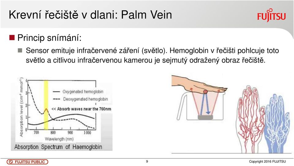 Hemoglobin v řečišti pohlcuje toto světlo a