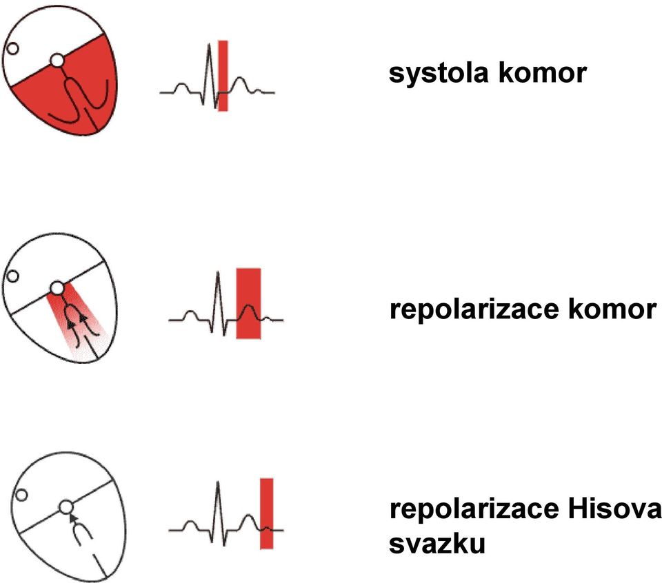 komor  Hisova