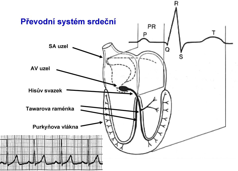 uzel Hisův svazek