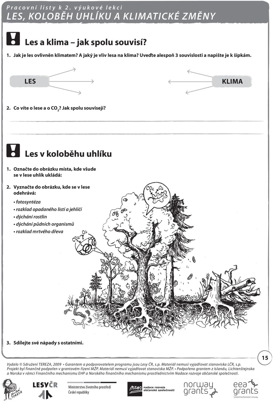 Les v koloběhu uhlíku 1. Označte do obrázku místa, kde všude se v lese uhlík ukládá: 2.