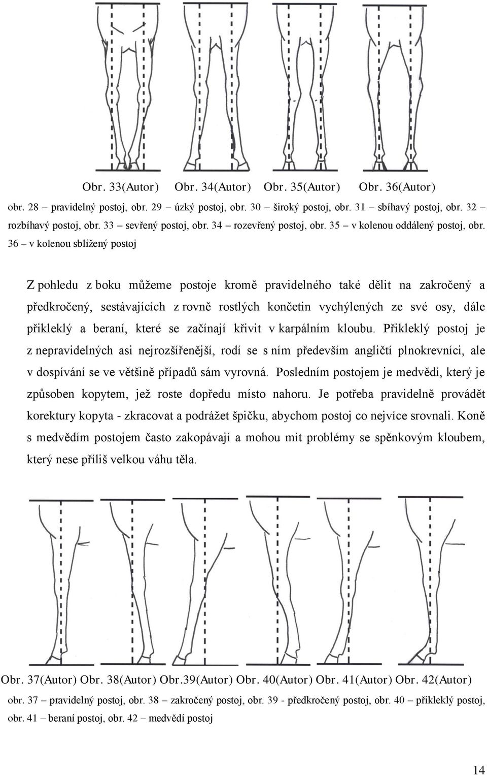 36 v kolenou sblíţený postoj Z pohledu z boku můţeme postoje kromě pravidelného také dělit na zakročený a předkročený, sestávajících z rovně rostlých končetin vychýlených ze své osy, dále přikleklý a