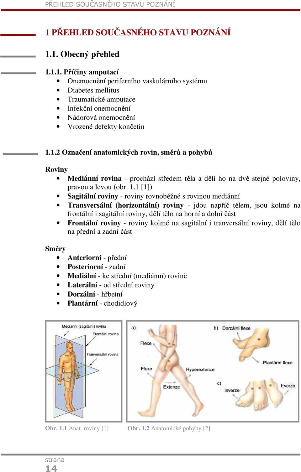 1. Obecný přehled 1.1.1. Příčiny amputací Onemocnění periferního vaskulárního systému Diabetes mellitus Traumatické amputace Infekční onemocnění Nádorová onemocnění Vrozené defekty končetin 1.1.2 Označení anatomických rovin, směrů a pohybů Roviny Mediánní rovina - prochází středem těla a dělí ho na dvě stejné poloviny, pravou a levou (obr.