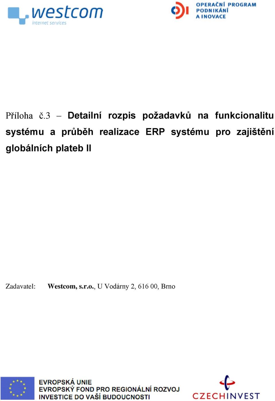 systému a průběh realizace ERP systému pro