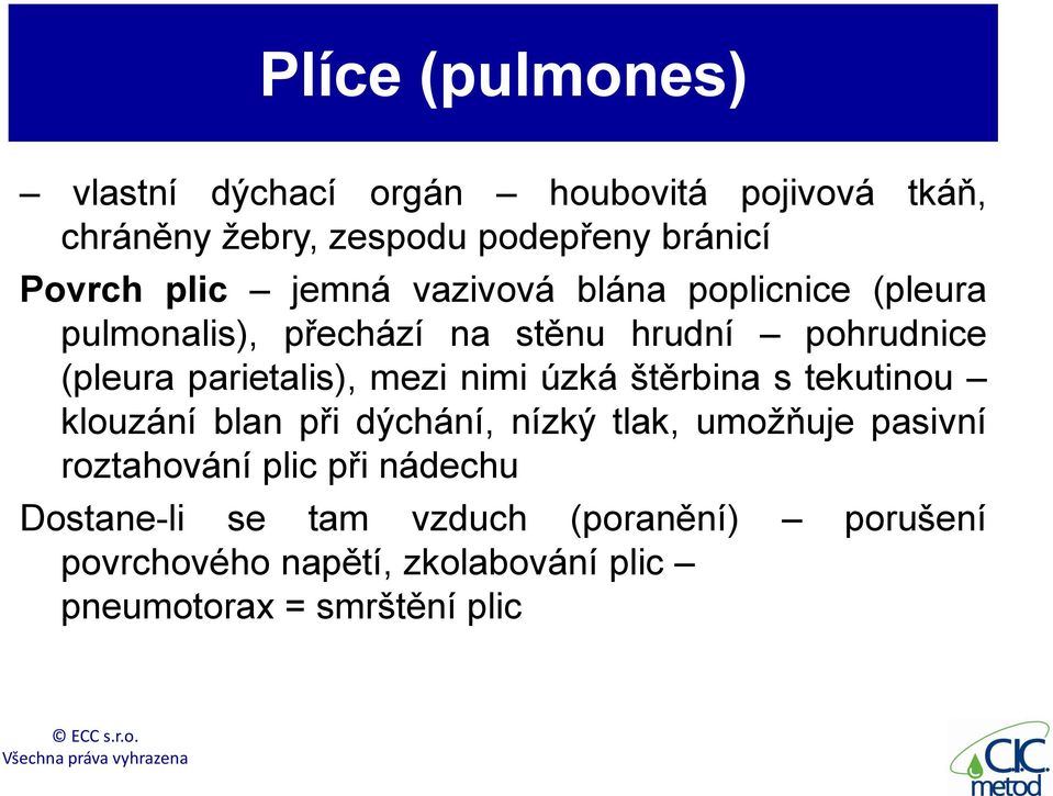 mezi nimi úzká štěrbina s tekutinou klouzání blan při dýchání, nízký tlak, umožňuje pasivní roztahování plic při