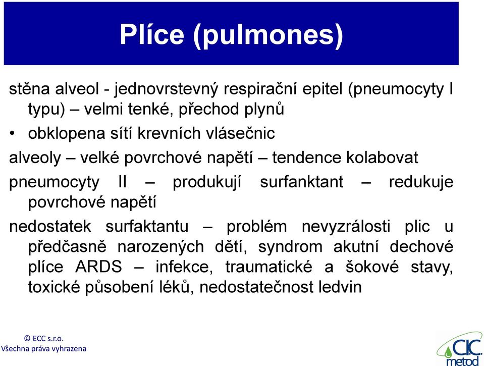 surfanktant redukuje povrchové napětí nedostatek surfaktantu problém nevyzrálosti plic u předčasně narozených