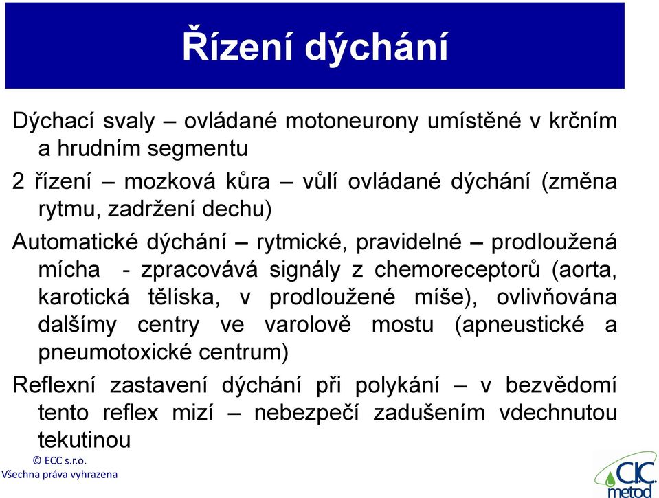 chemoreceptorů (aorta, karotická tělíska, v prodloužené míše), ovlivňována dalšímy centry ve varolově mostu (apneustické a