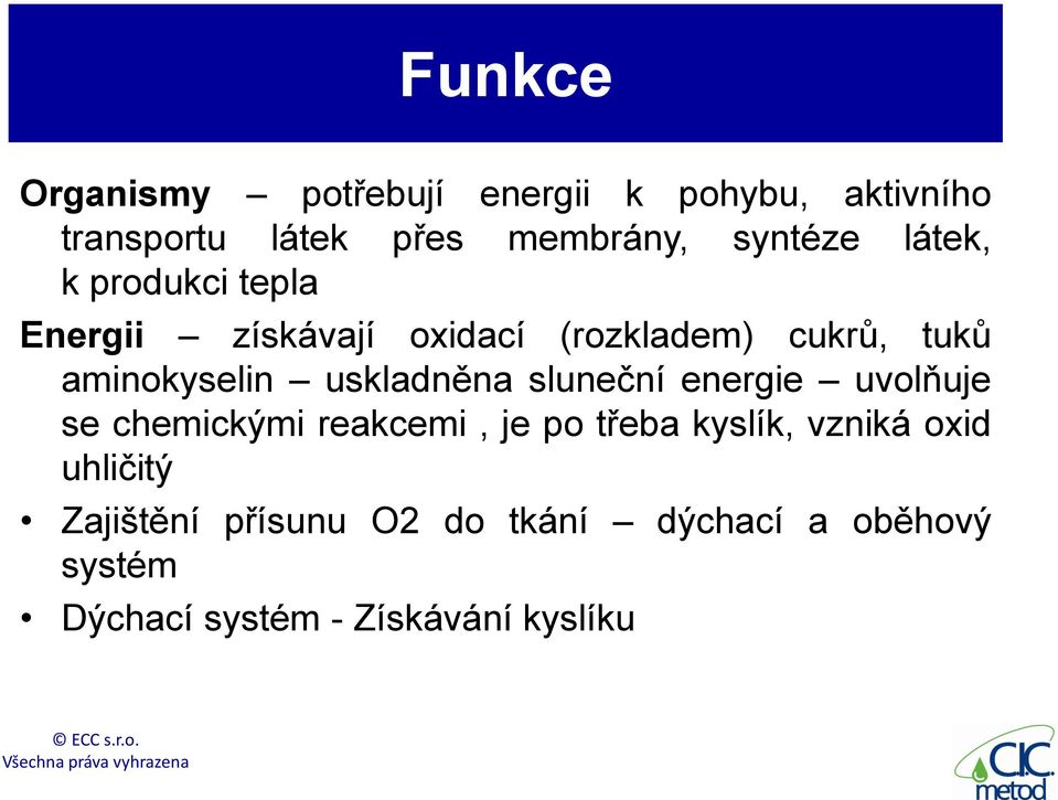 aminokyselin uskladněna sluneční energie uvolňuje se chemickými reakcemi, je po třeba kyslík,