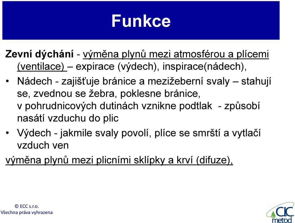 poklesne bránice, v pohrudnicových dutinách vznikne podtlak - způsobí nasátí vzduchu do plic Výdech