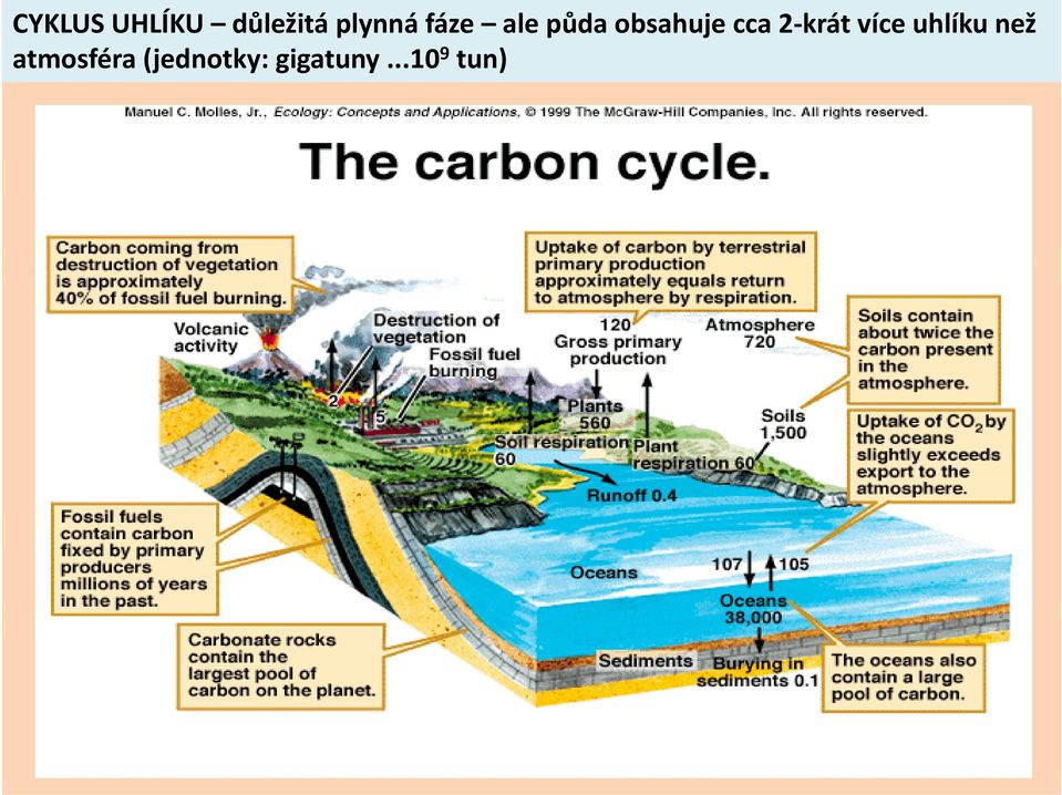 krát více uhlíku než atmosféra