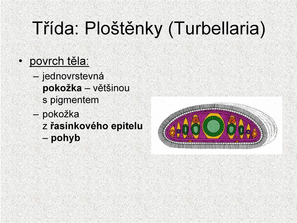 pokožka většinou s pigmentem