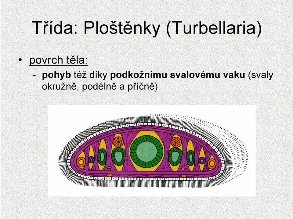 pohyb též díky podkožnímu