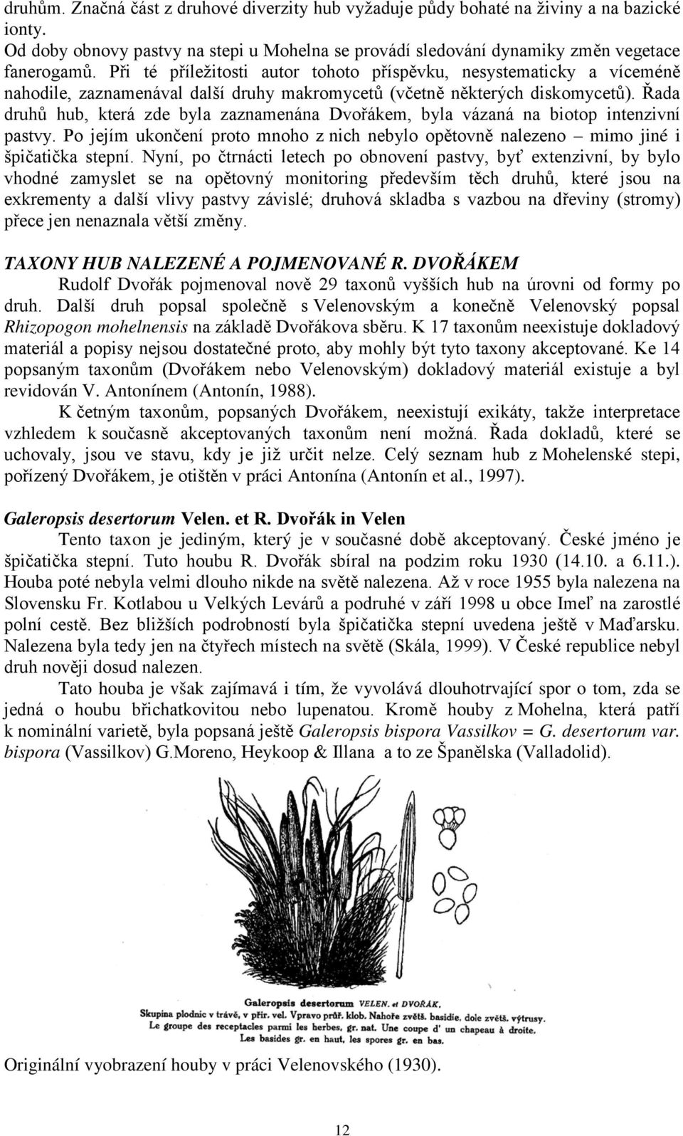 Řada druhů hub, která zde byla zaznamenána Dvořákem, byla vázaná na biotop intenzivní pastvy. Po jejím ukončení proto mnoho z nich nebylo opětovně nalezeno mimo jiné i špičatička stepní.