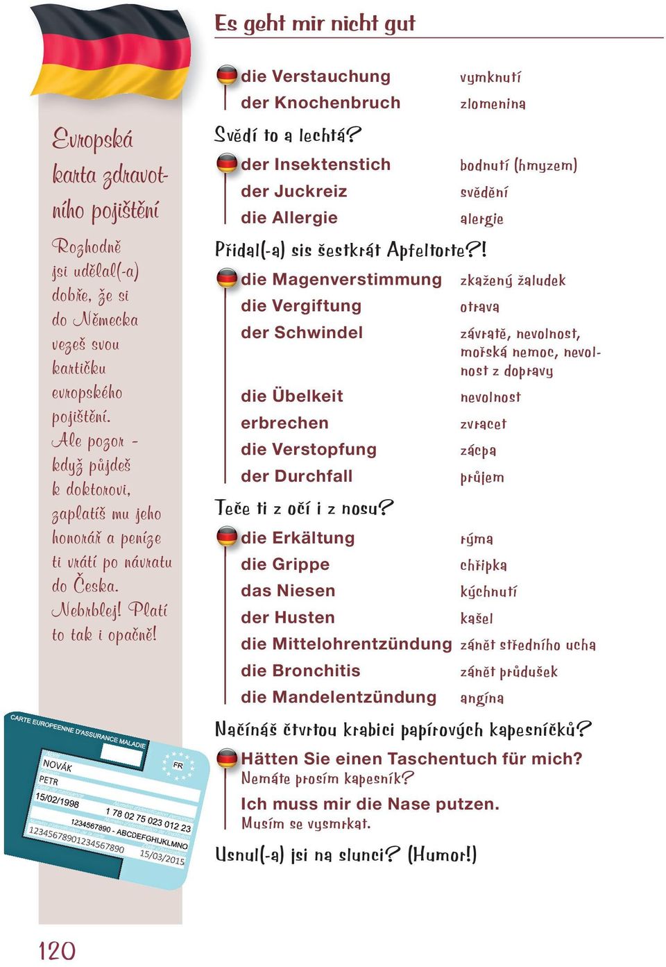 der Insektenstich der Juckreiz die Allergie vymknutí zlomenina bodnutí (hmyzem) svědění alergie Přidal(-a) sis šestkrát Apfeltorte?