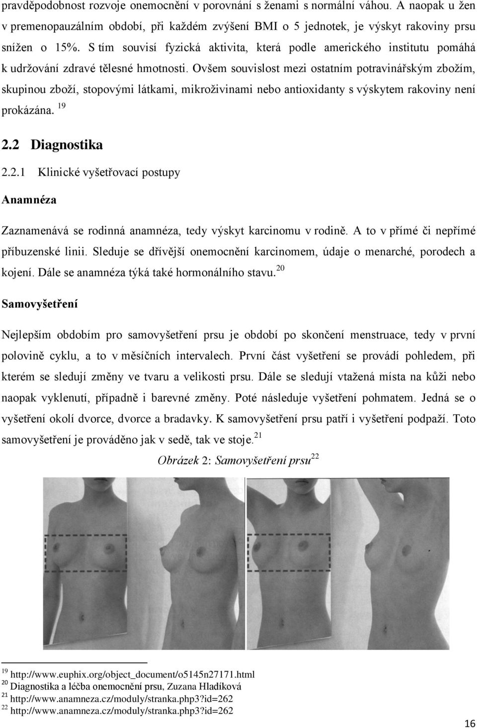 Ovšem souvislost mezi ostatním potravinářským zboţím, skupinou zboţí, stopovými látkami, mikroţivinami nebo antioxidanty s výskytem rakoviny není prokázána. 19 2.