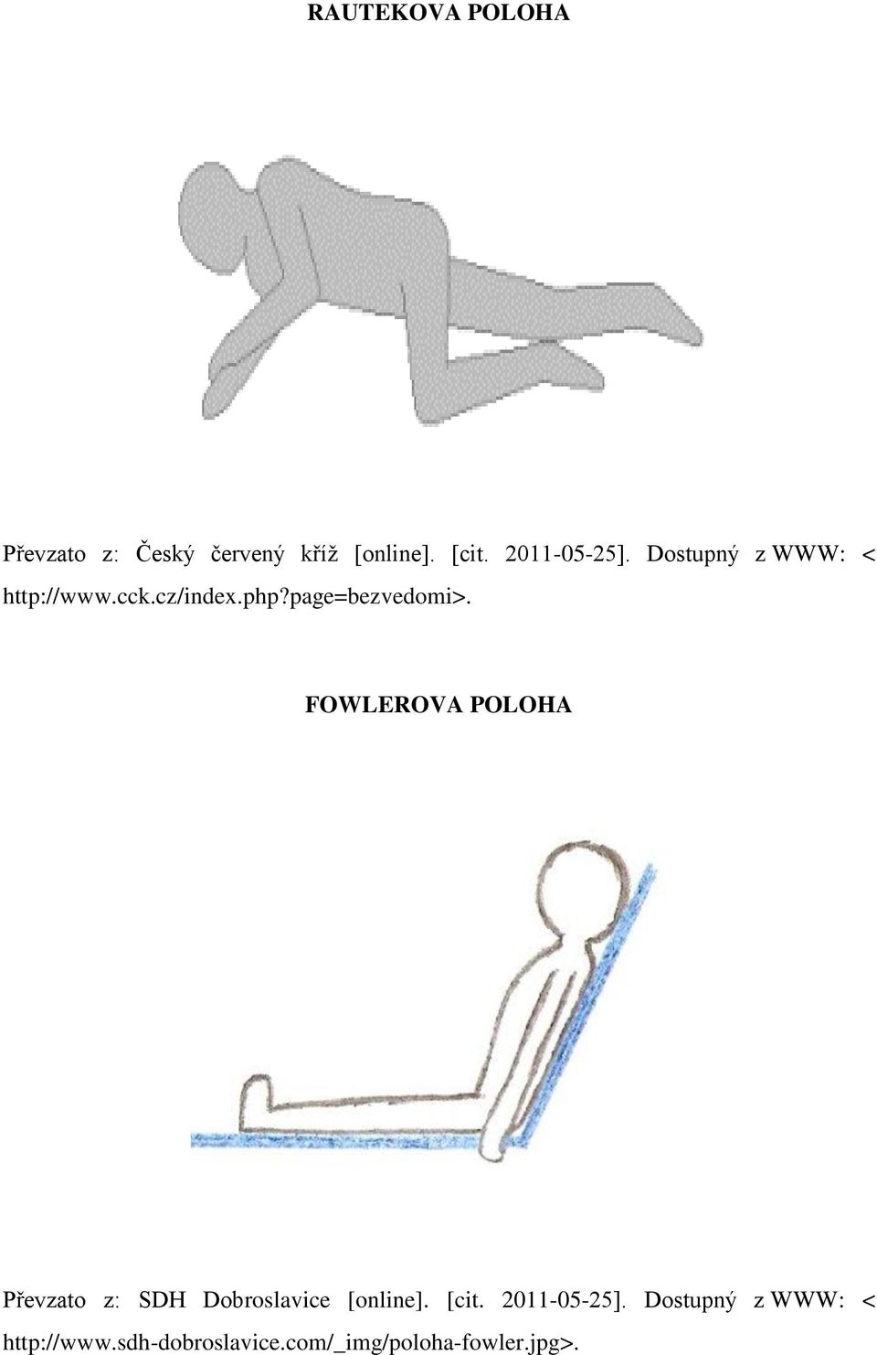 page=bezvedomi>. FOWLEROVA POLOHA Převzato z: SDH Dobroslavice [online].