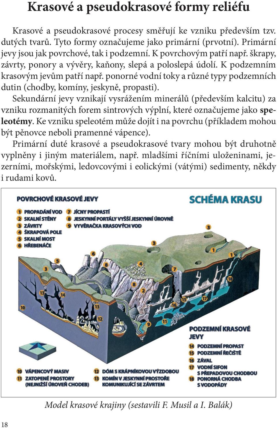 ponorné vodní toky a různé typy podzemních dutin (chodby, komíny, jeskyně, propasti).