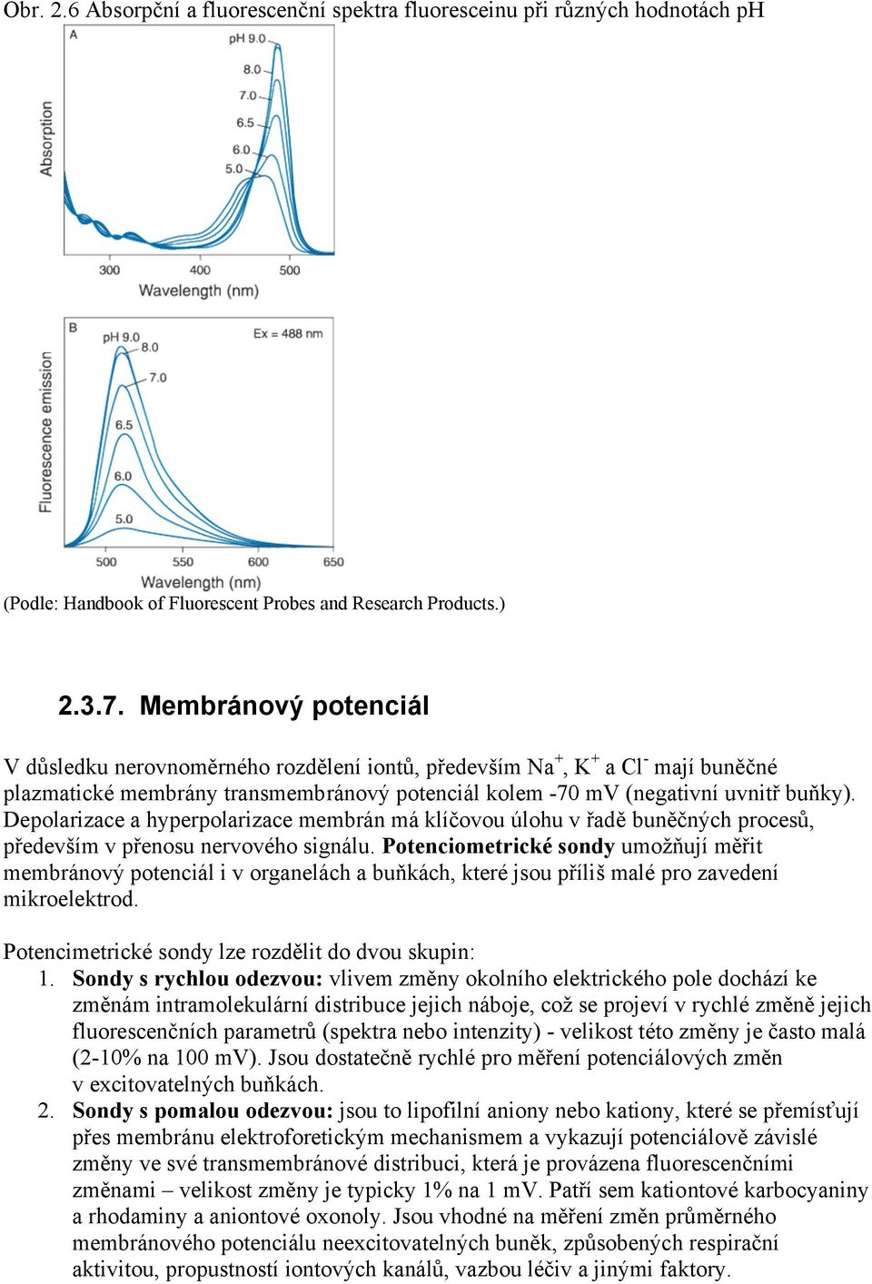 Depolarizace a hyperpolarizace membrán má klíčovou úlohu v řadě buněčných procesů, především v přenosu nervového signálu.