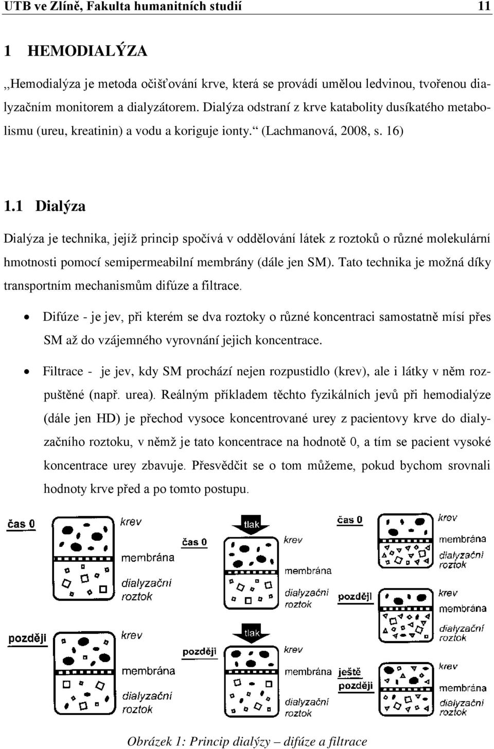 1 Dialýza Dialýza je technika, jejíž princip spočívá v oddělování látek z roztoků o různé molekulární hmotnosti pomocí semipermeabilní membrány (dále jen SM).