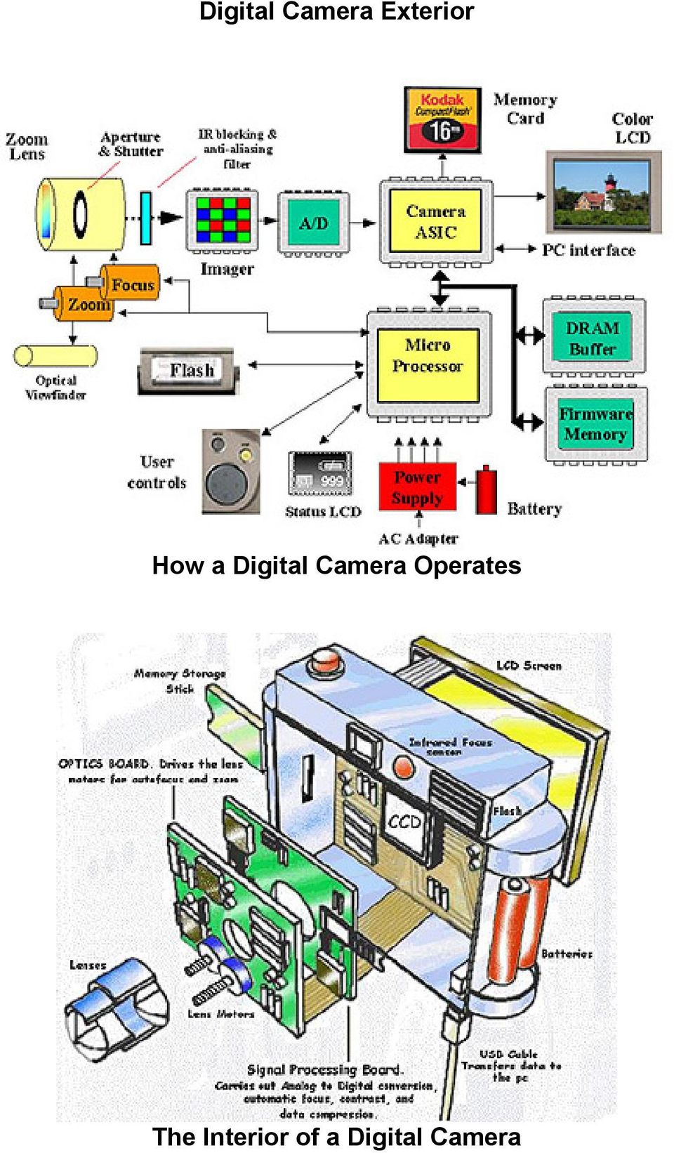 Operates The Interior