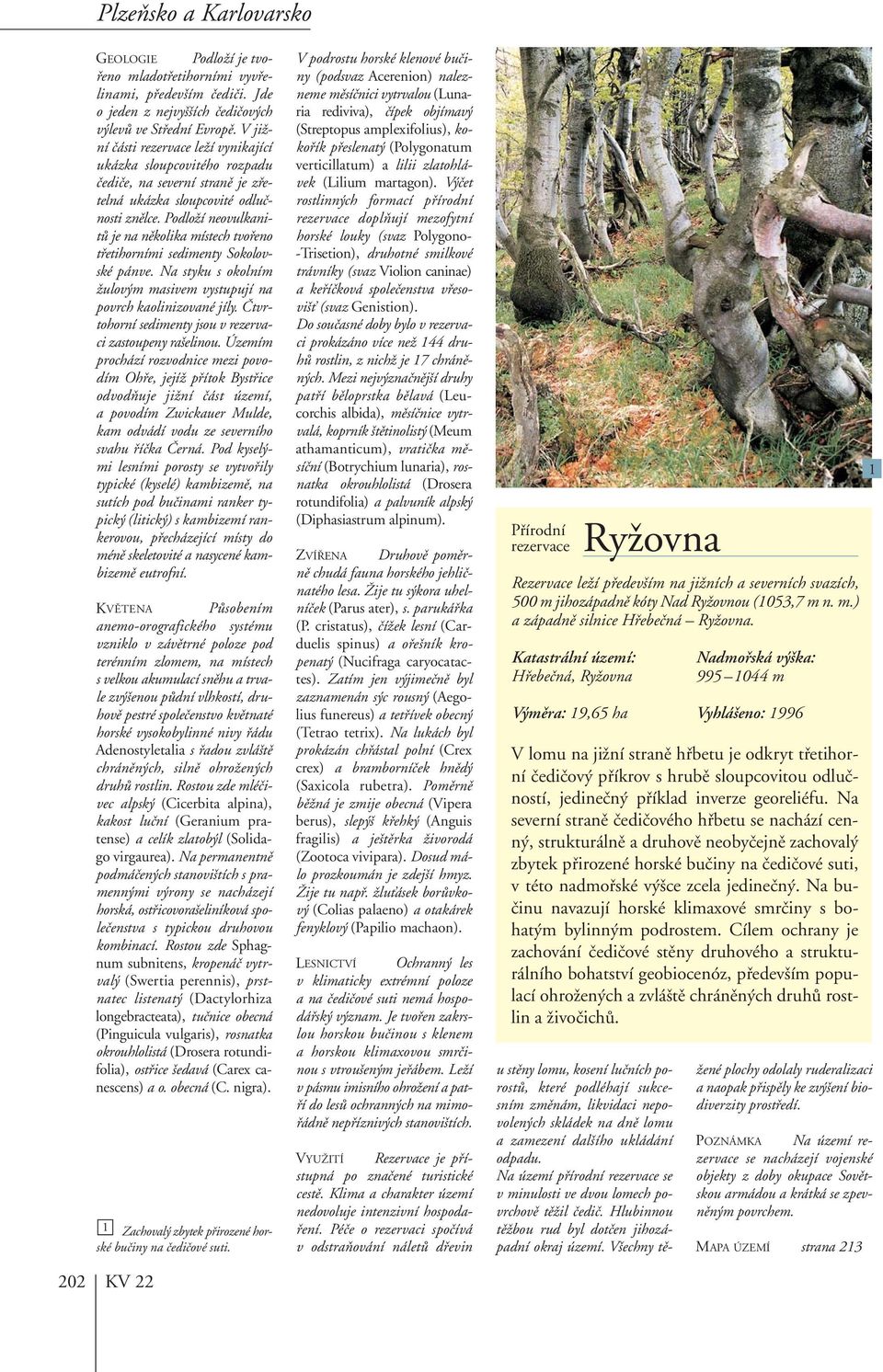 PodloÏí neovulkanitû je na nûkolika místech tvofieno tfietihorními sedimenty Sokolovské pánve. Na styku s okolním Ïulov m masivem vystupují na povrch kaolinizované jíly.