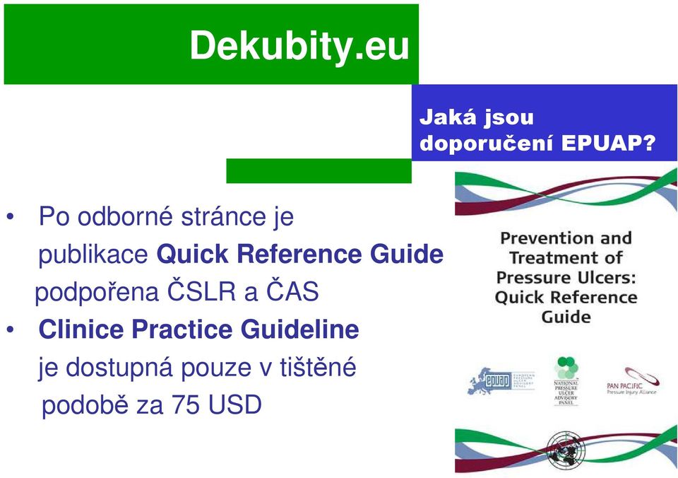 Reference Guide podpořena ČSLR a ČAS